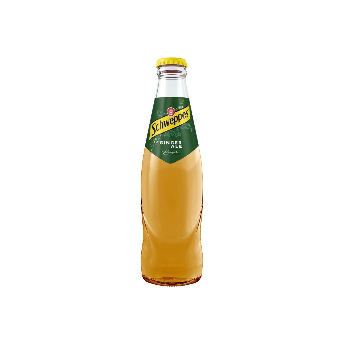 Schweppes Ginger Ale 0,25l - sklo