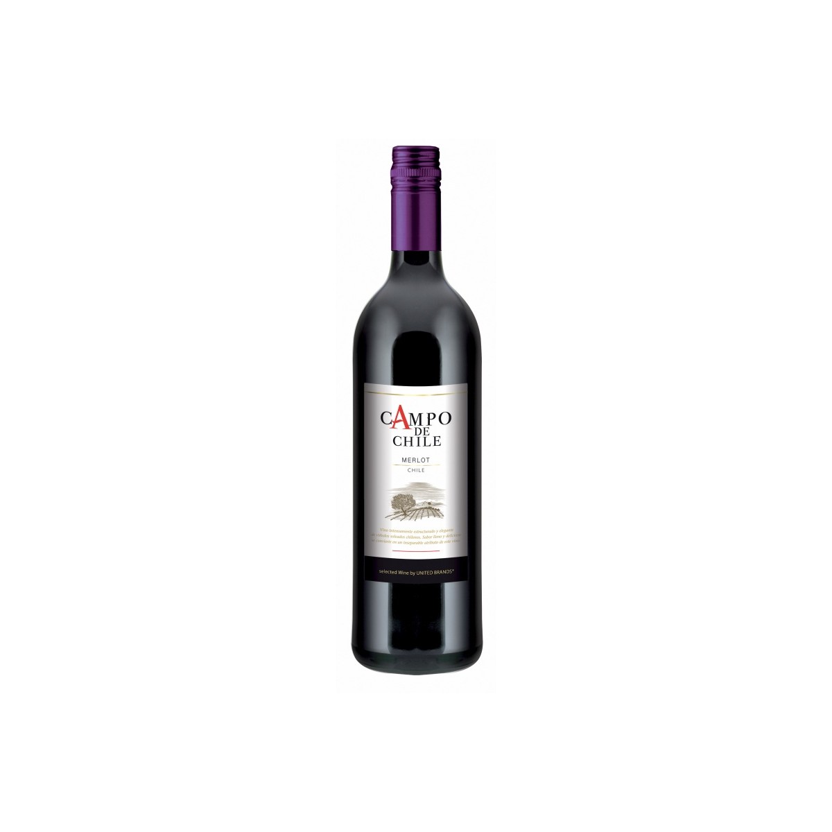 Merlot 0,75l - Campo de Chile