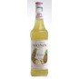 Monin Ananas - ananasový sirup 0,7l