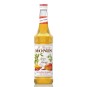 Monin Mango spicy - mangový kořeněný sirup 0,7l