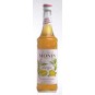 Monin Mangue - mangový sirup 0,7l