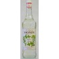 Monin Mojito Mint - mátový sirup 1l