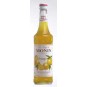 Monin Orange - pomerančový sirup 0,7l