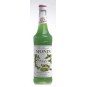 Monin Pistache - pistáciový sirup 0,7l