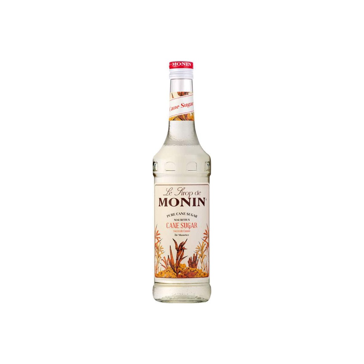 Monin Sucre de Canne - třtinový cukr 0,7l