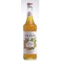 Monin Abricot - meruňkový sirup 0,7l