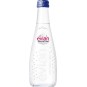 Evian Sparkling 0,33l - sklo