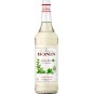 Monin Mojito Mint - mátový sirup 1l