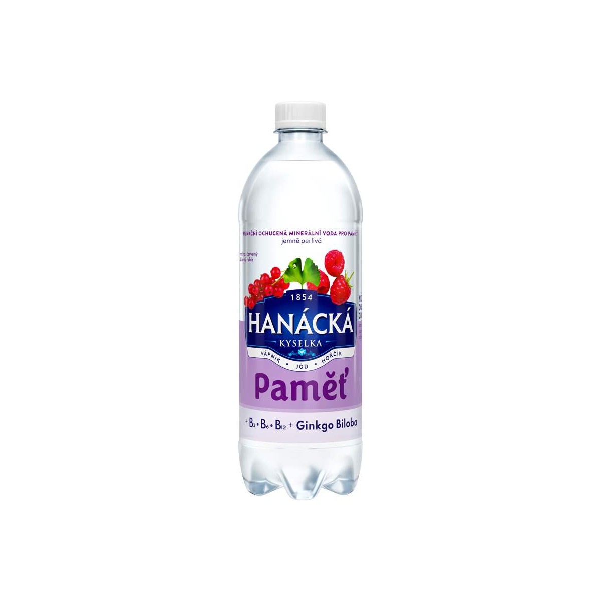 Hanácká Kyselka Paměť červený & černý rybíz 0,7l - PET