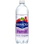 Hanácká Kyselka Paměť červený & černý rybíz 0,7l - PET